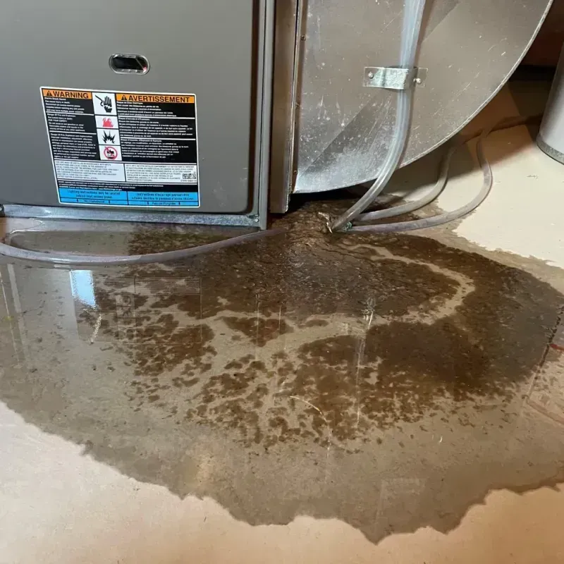 Appliance Leak Cleanup in Tellico Village, TN